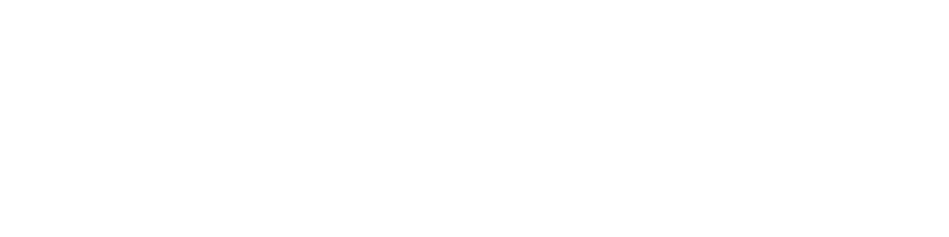 BinaxPay Logo