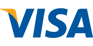 Visa Network - BinaxPay Business Card Integration