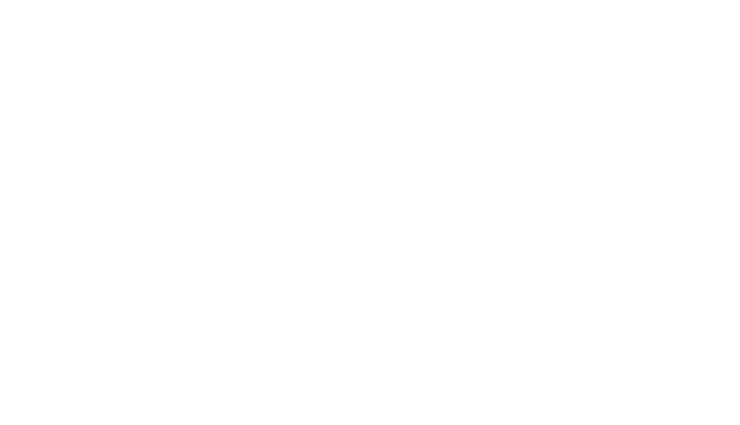 decorative shape